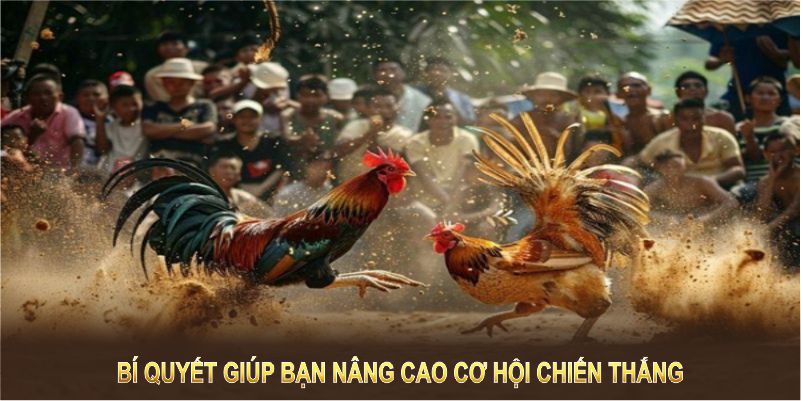 Bí quyết giúp bạn nâng cao cơ hội chiến thắng tại mọi trận đấu