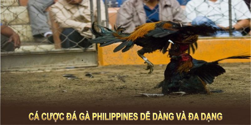 Cá cược đá gà Philippines dễ dàng và đa dạng với nhiều hình thức