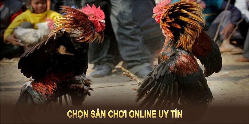 Việc chọn sân chơi online uy tín giúp bạn nhận nhiều lợi ích