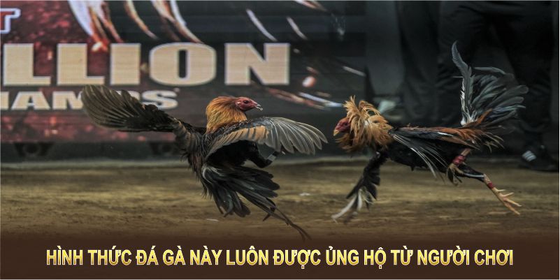 Hình thức đá gà này luôn được ủng hộ từ đông đảo người chơi